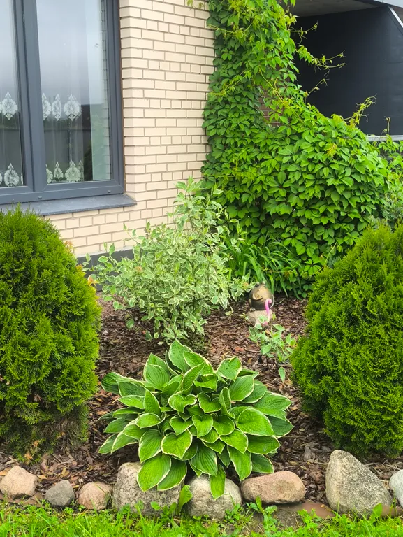 Квартира с террасой в Новоселье