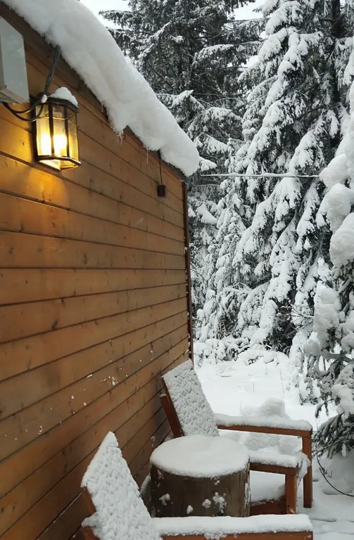 Домик для двоих с горячей купелью (шерегеш)