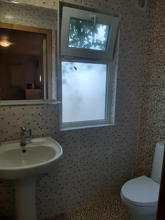 Кактус у моря