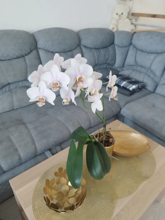 Коттедж Атмосферный дом с живым камином и баней на дровах — Ленина