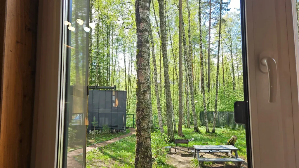 Коттедж в лесу