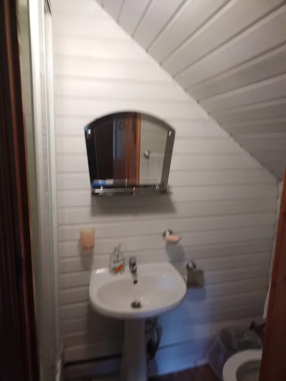 Домики в лесу на берегу реки Волге