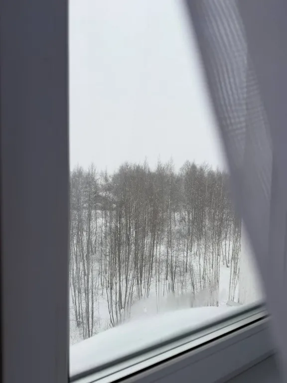 Новая, уютная и светлая квартира