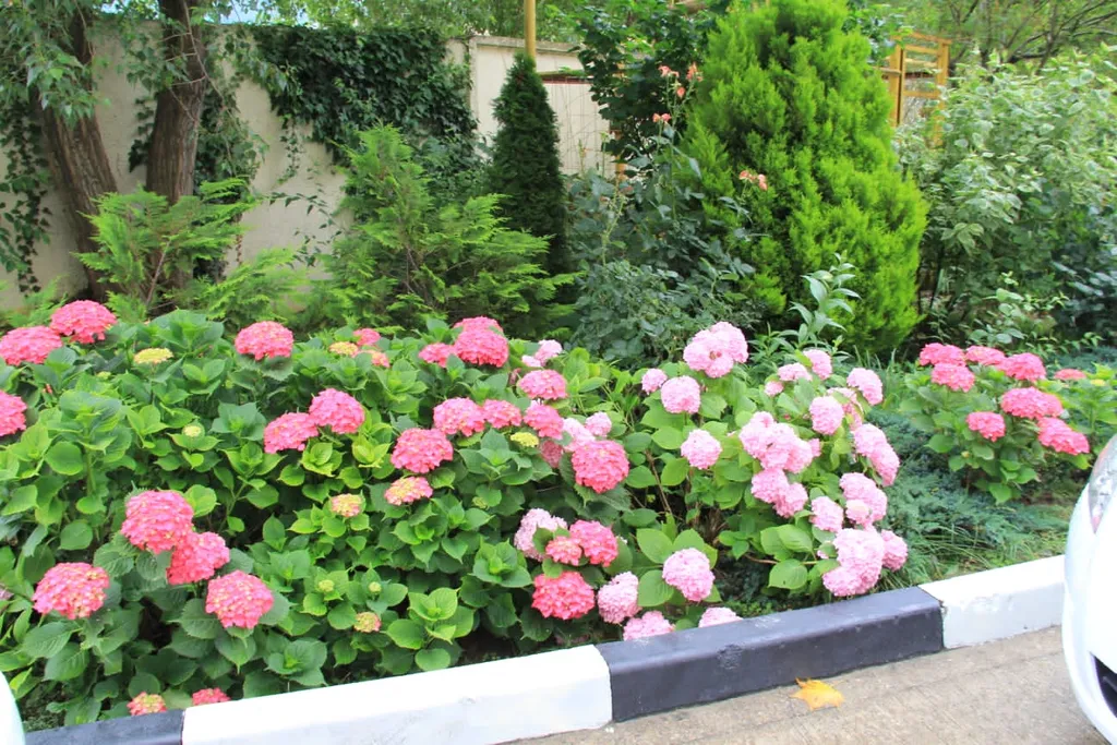 Квартира Уютная квартира в центре — Лазаревское