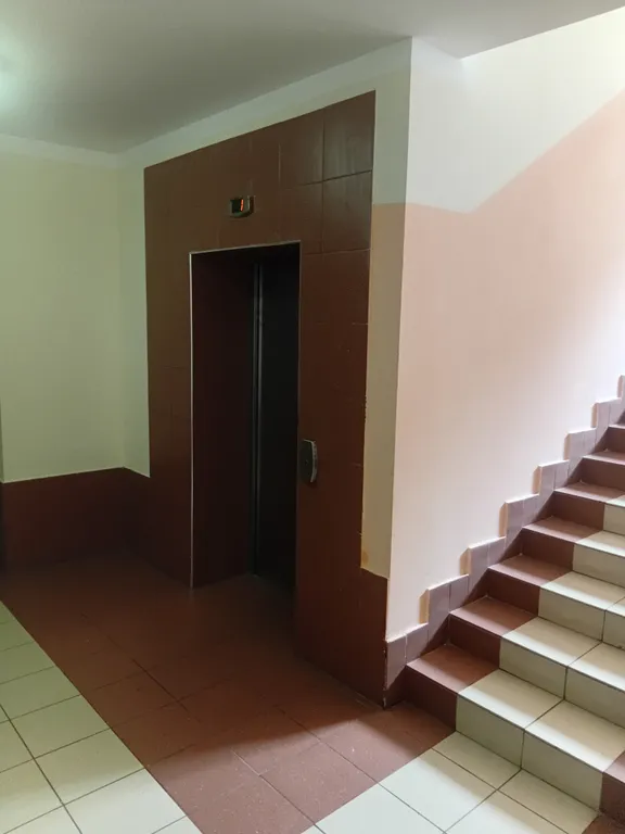 Квартира Удобная квартира — Светлогорск