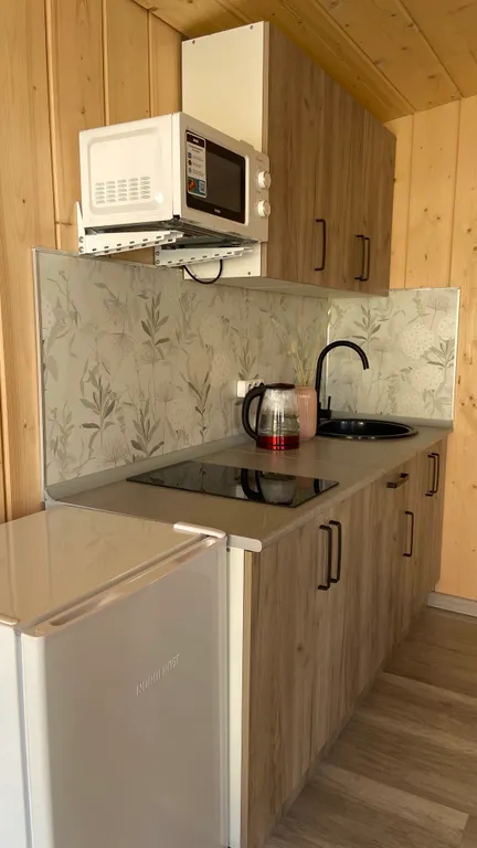 Новый современный Барнхаус посреди леса