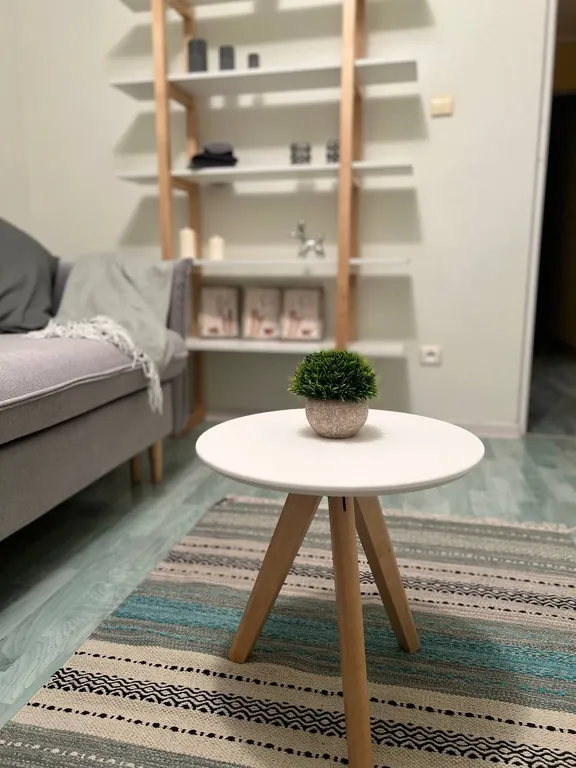 Апартаменты с необычной планировкой в самом центре города.