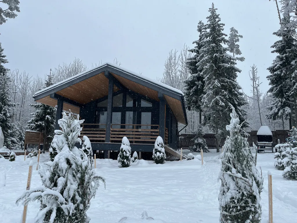 Коттедж Новый коттедж с сауной в сосновом лесу — Санкт-Петербург