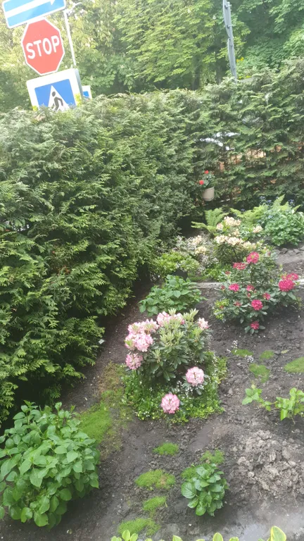 Очень уютная 4-комнатная квартира в центре города с сауной, зоной барбекю