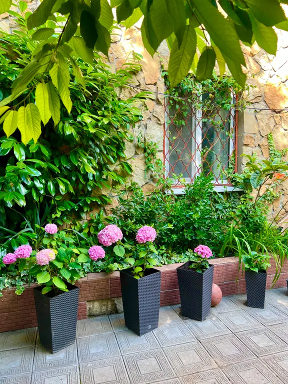 Квартира Дизайнерская двухкомнатная квартира с бассейном в центе Анапы — Анапа