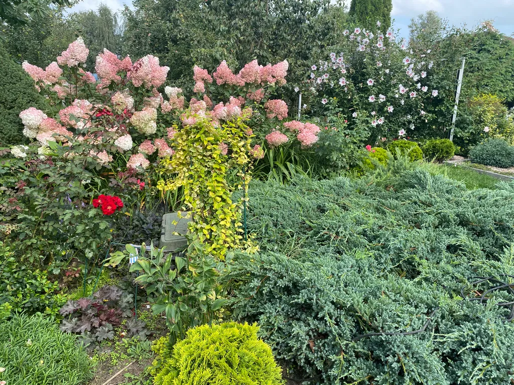 Уютный дом с хаммамом, баней и камином "У Кузьмича"