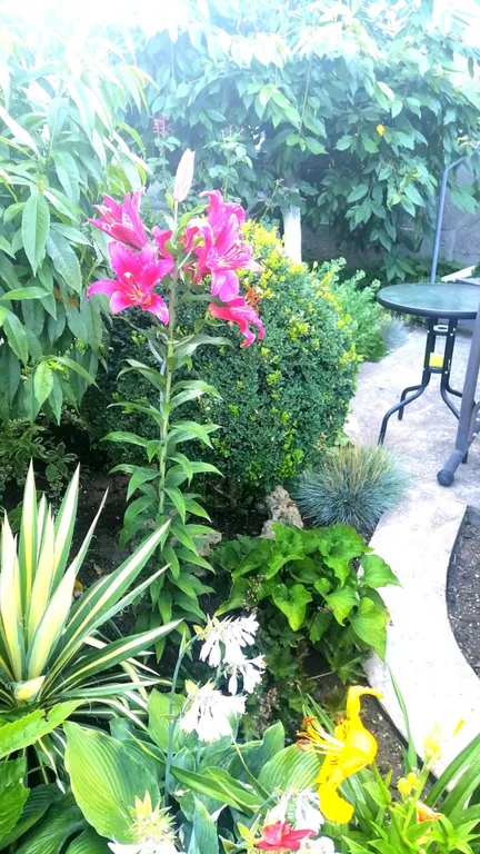 Квартира Квартира Уютный номер в Балаклаве — Севастополь