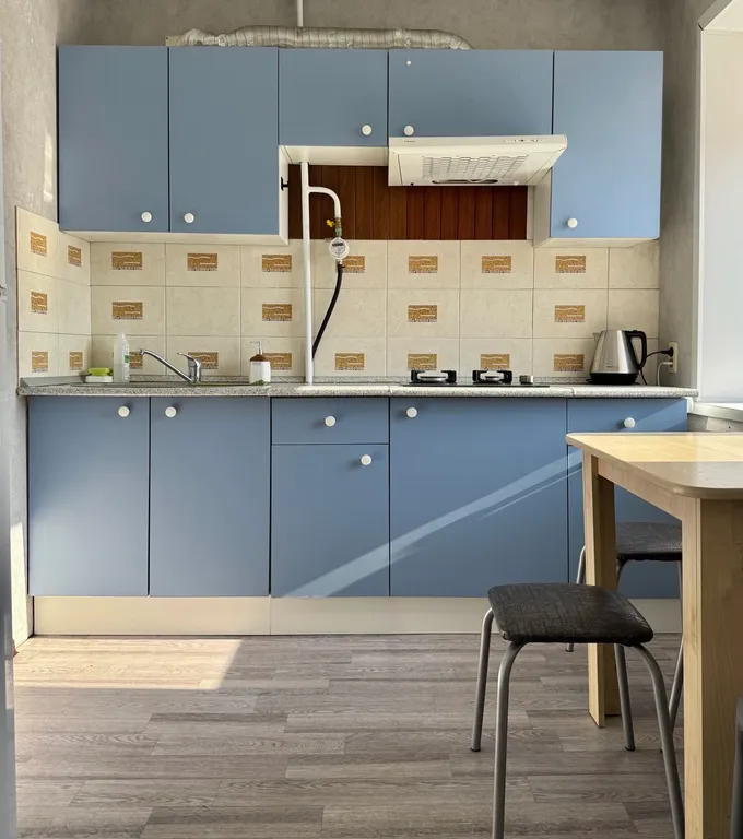 Квартира 1-комнатная Квартира — Барнаул