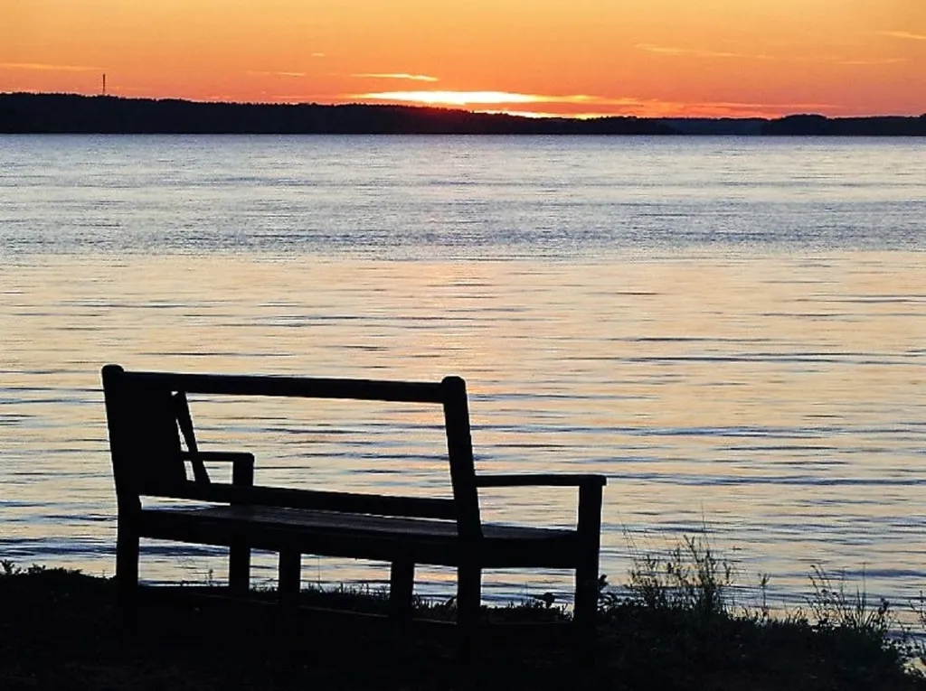 Коттедж Домик в лесу у озера Волго — Турбаза Чайка