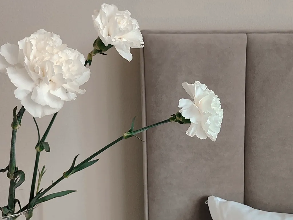 Квартира Квартира Стильная и функциональная студия — Краснодар