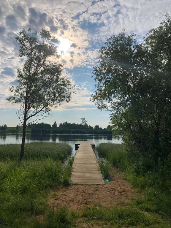 Коттедж Уютный домик с окном в крыше от Дом Шелуха (Sheluha House) — Можайск