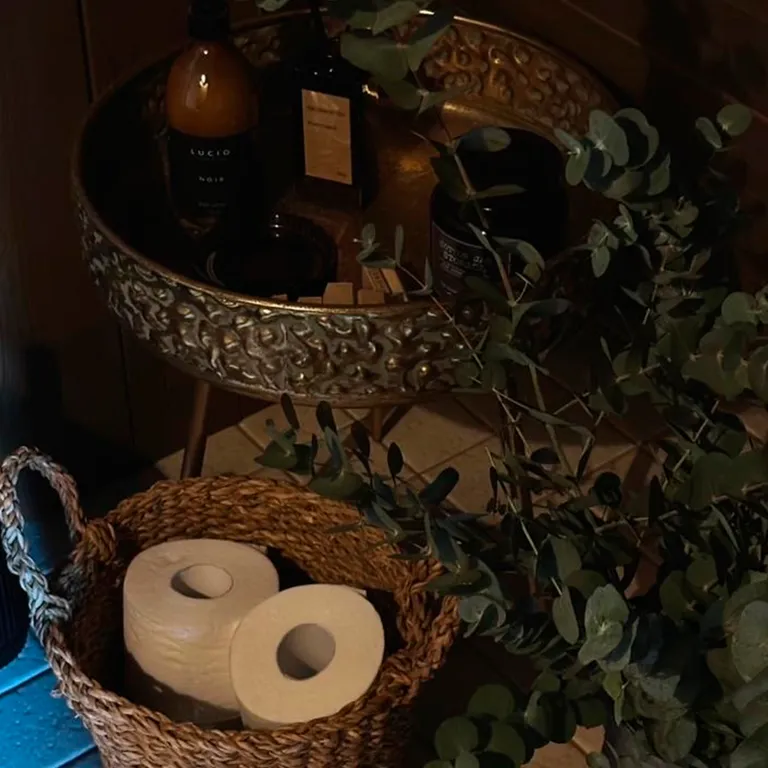 Дом с купелью и камином