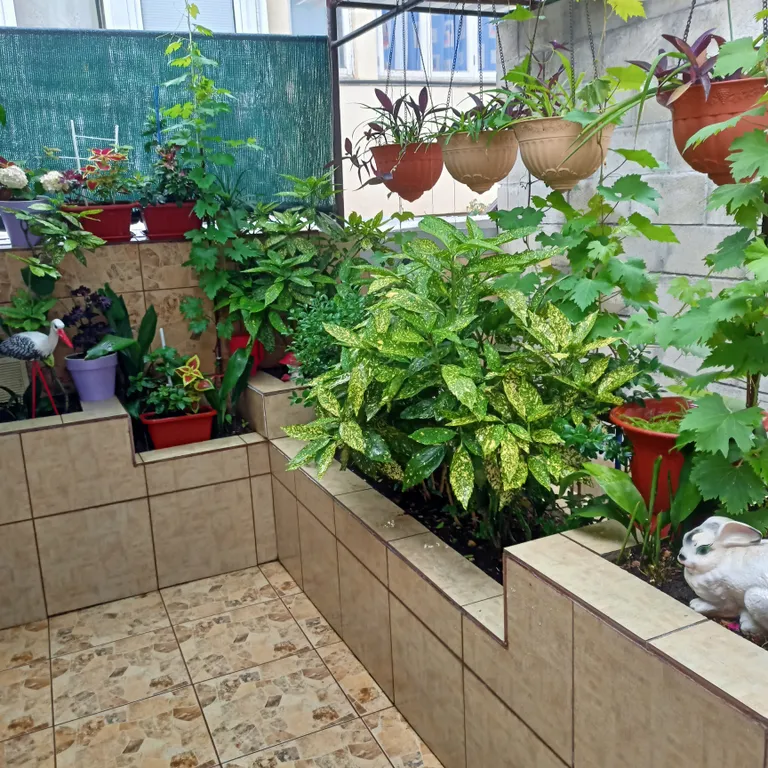 Уютная однокомнатная квартира в Симеизе