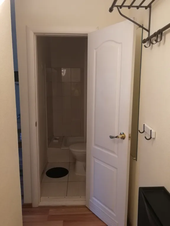 Уютные апартаменты