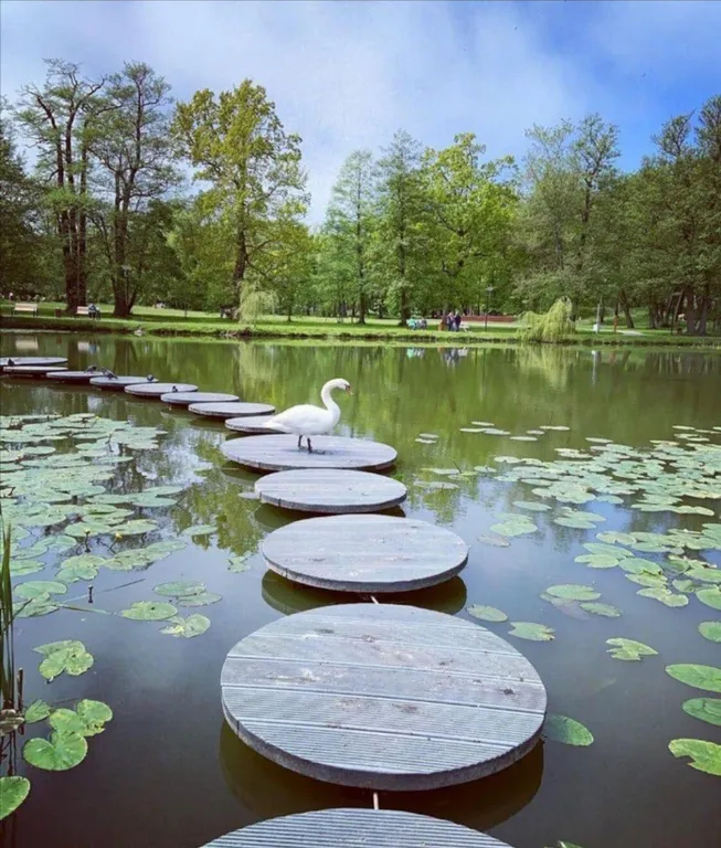 Квартира Уютная квартира у моря — Зеленоградск