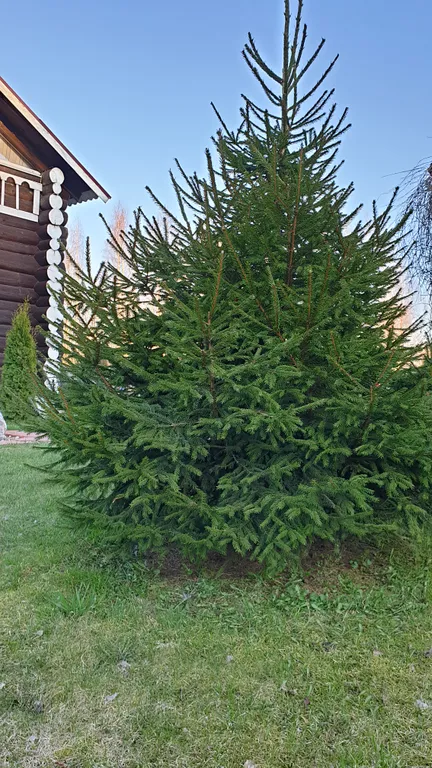 Дом с 4 спальнями