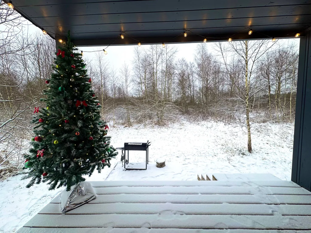 Коттедж Moroshka Scandi - домик для двоих с видом на лес — Можайск