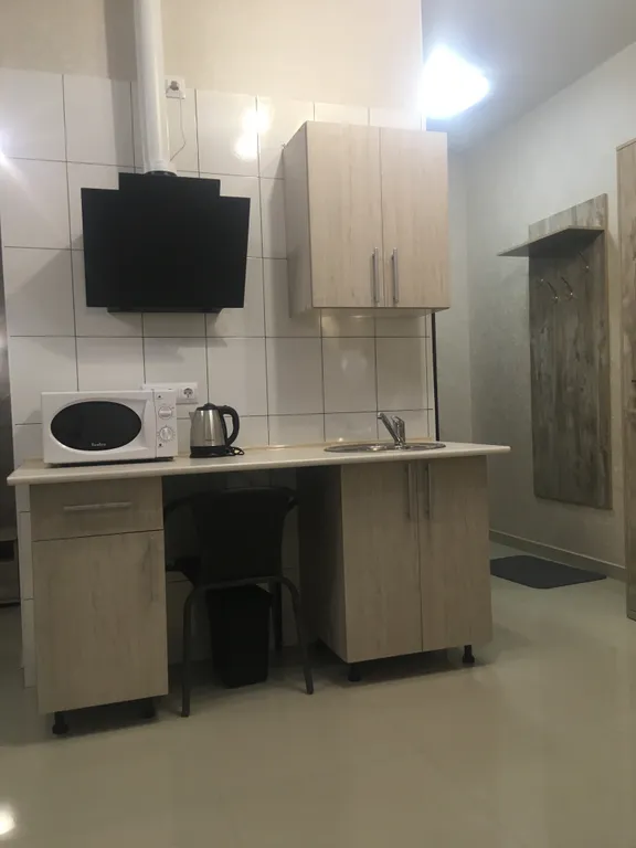 Квартира Просторная комната-студия в Олимпийском парке — Сириус