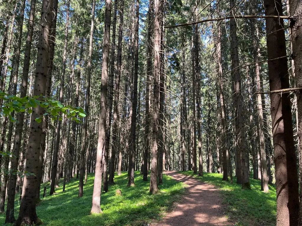 Уютный дом для семейного отдыха