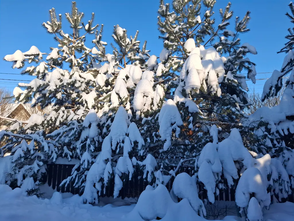 Коттедж у реки в центре Звенигорода
