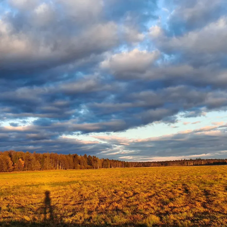 Bielavieža — дом-хутор в Беловежской пуще