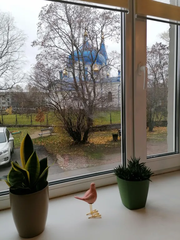 Цветик-семицветик