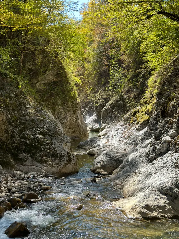 Дом с баней