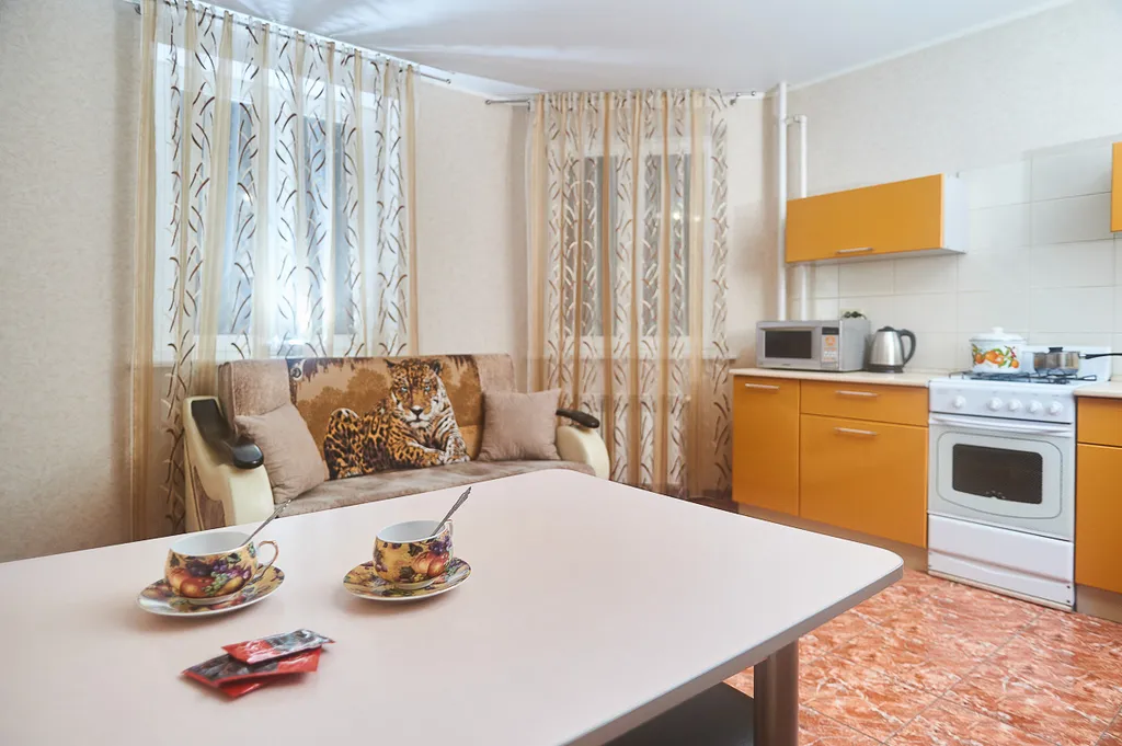 Просторная квартира в центре