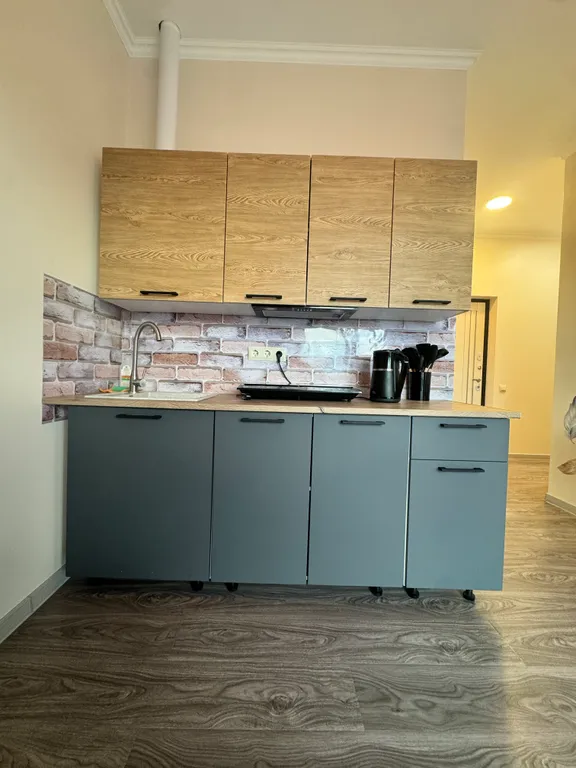 Квартира Квартира-студия в Олимпийском парке — Сириус