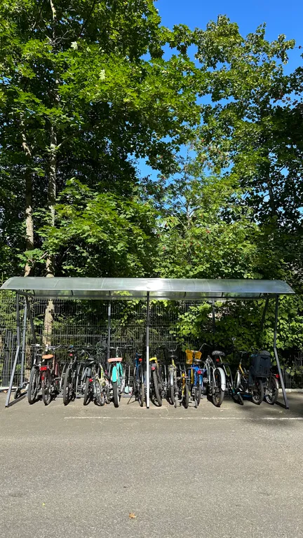 Уютная студия в лесной зоне