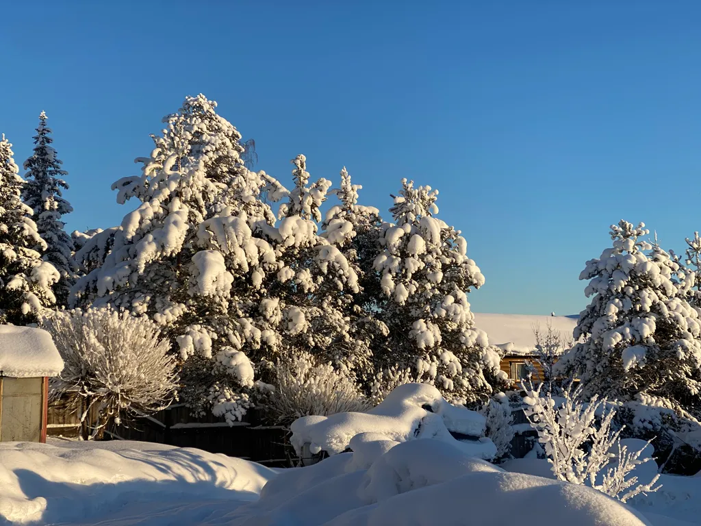 Эко-дом на природе со всеми удобствами