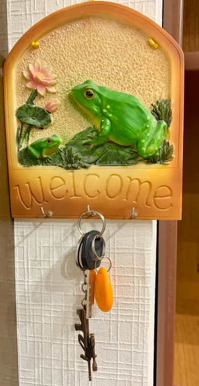 Квартира Квартира Уютная студия у НИИ имени Петрова с бесконтактным заселением — Песочный