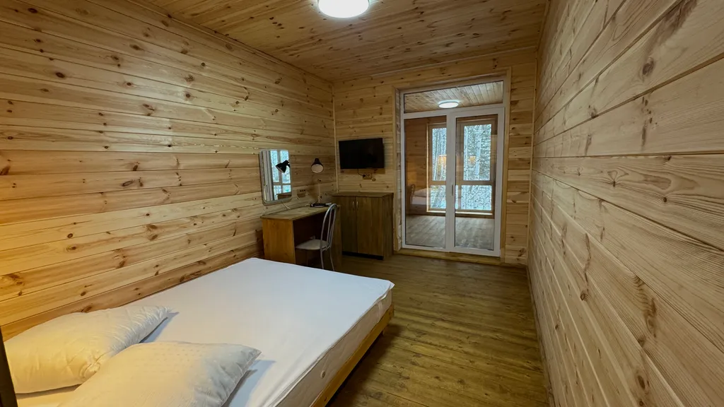 Дом Тихий Бор в березовом лесу