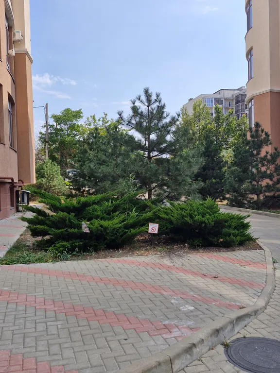Квартира Апартаменты Тихая Гавань — Геленджик