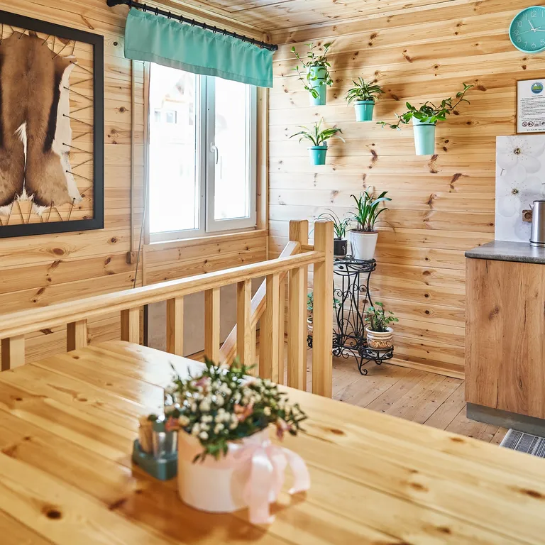 Номер с видом на телецкое озеро и р. Бия