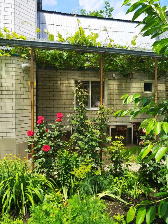 Двухкомнатная квартира с террасой