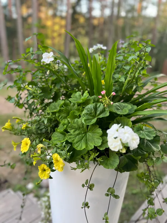 Стильный дом на берегу Ладожского озера с панорамным видом