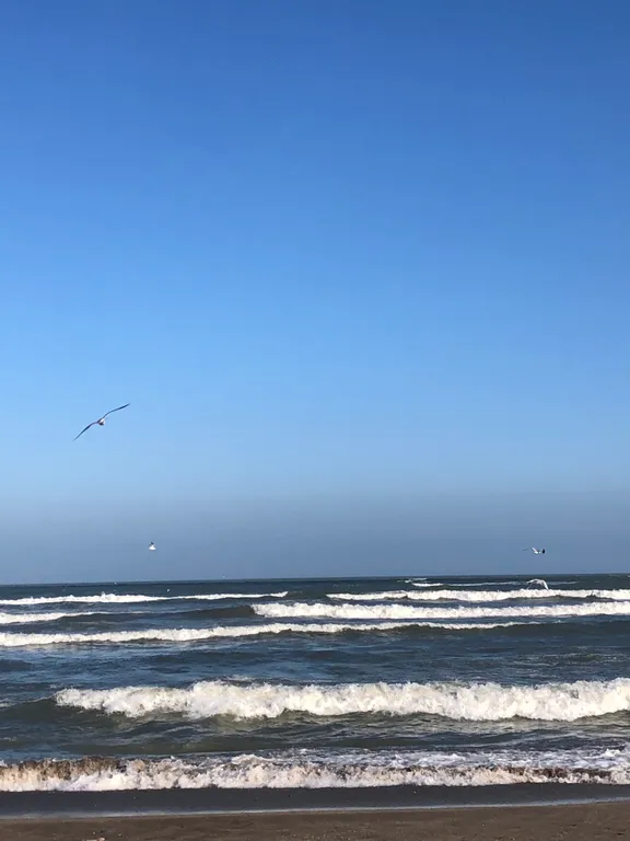 Квартира Квартира С видом на море — Махачкала
