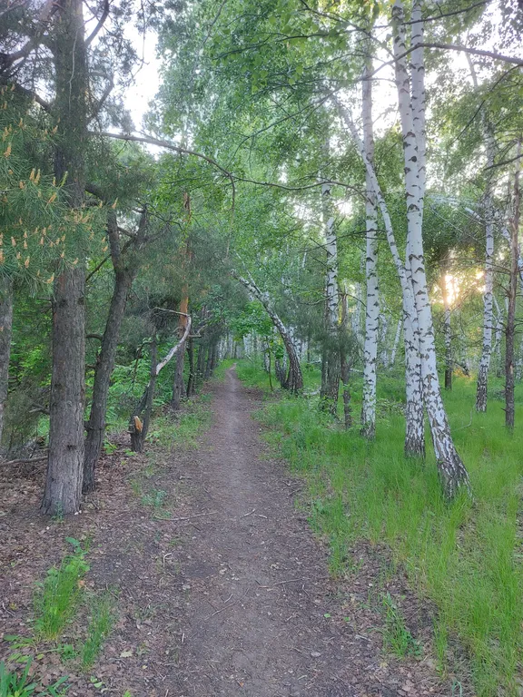 Уютный дом в хвойном саду на Кумысной поляне