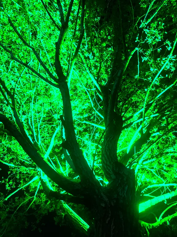 Коттедж на берегу реки и озера