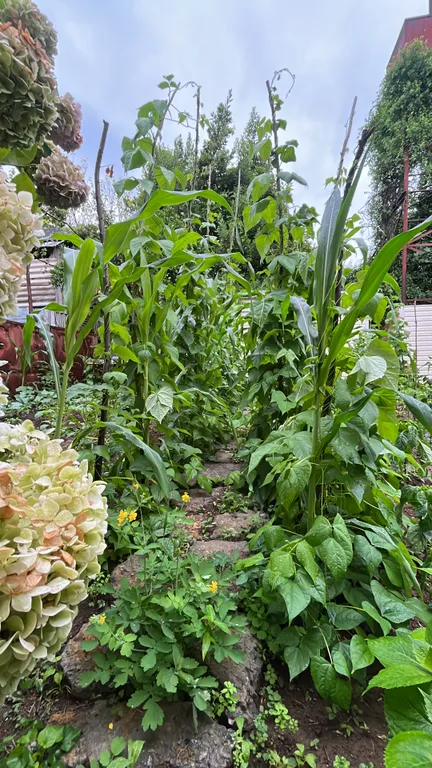 Номера с видом на море и горы