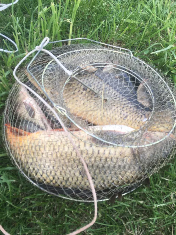 Коттедж 3-комнатный Дом — Высоково