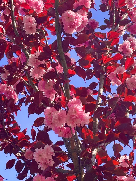 Дом с камином со столетней историей: город и море удобная развязка