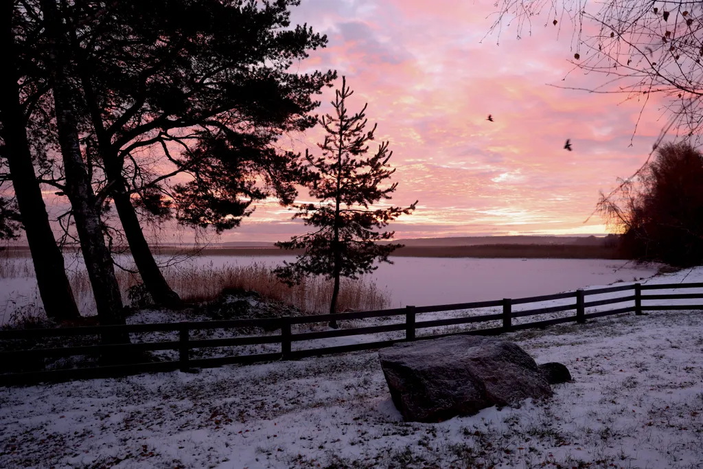 Коттедж Уютный дом на берегу озера — Плодовое