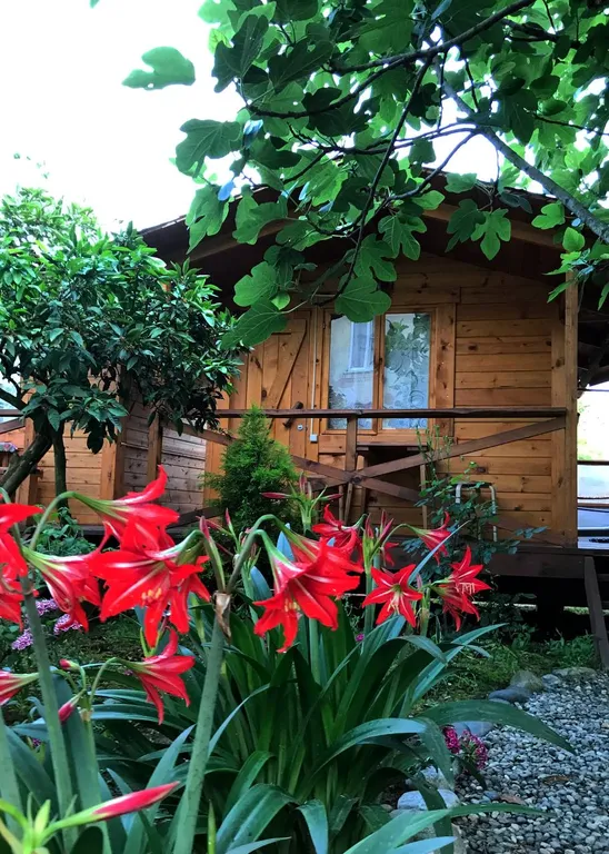 Коттедж Мини Теремок — аренда посуточно в Алахадзы